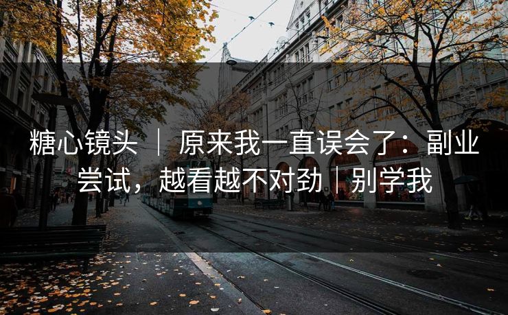 糖心镜头 ｜ 原来我一直误会了：副业尝试，越看越不对劲｜别学我