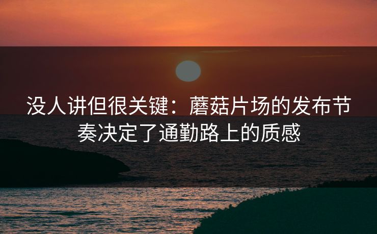 没人讲但很关键：蘑菇片场的发布节奏决定了通勤路上的质感